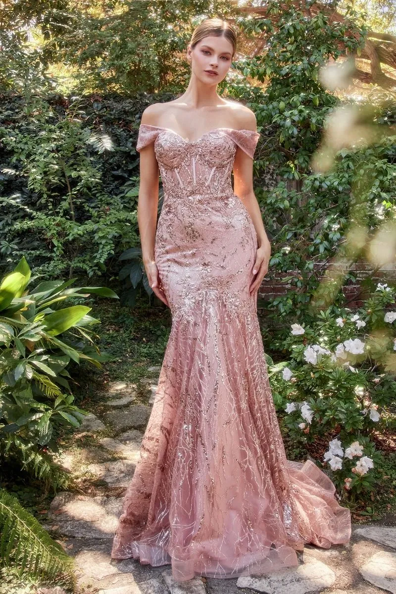 OFF THE SHOULDER LACE FIT AND FLARE GOWN CDA1107