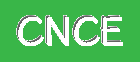 Cnce – Elevate Your Everyday Style with Trendy Fashion & Bestselling Outfits